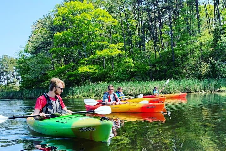 Cape Cod Explorer Kayak Tour in Popponesset Bay