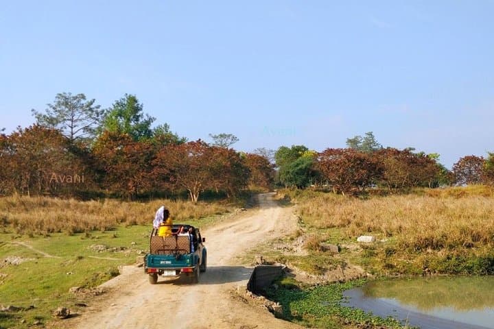 Pobitora Wildlife Sanctuary Safari from Guwahati: Rhino Jeep Tour, Lunch & Local Guide photo 3
