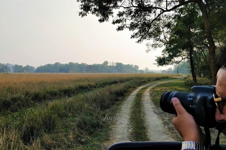 Pobitora Wildlife Sanctuary Safari from Guwahati: Rhino Jeep Tour, Lunch & Local Guide photo 6