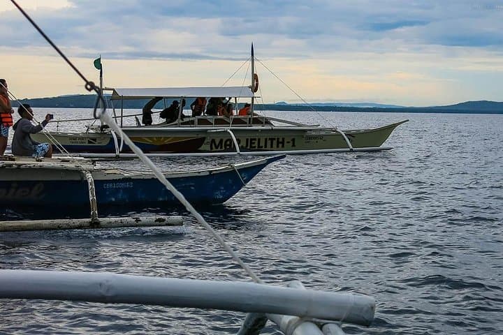Pamilacan Island Dolphin & Whale Watching Tour from Tagbilaran photo 2
