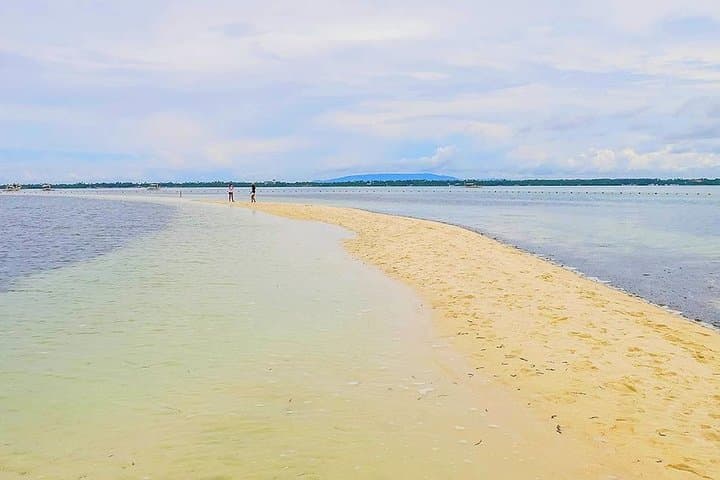 Pamilacan Island Dolphin & Whale Watching Tour from Tagbilaran photo 4