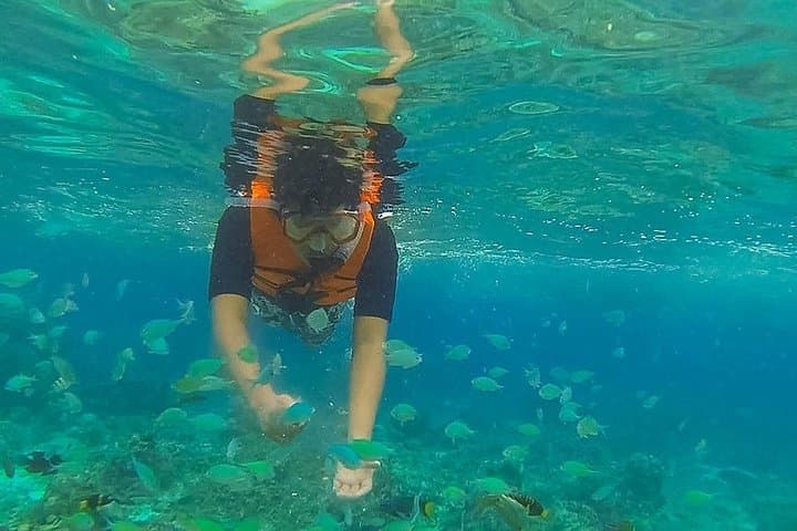 Pamilacan Island Dolphin & Whale Watching Tour from Tagbilaran photo 5
