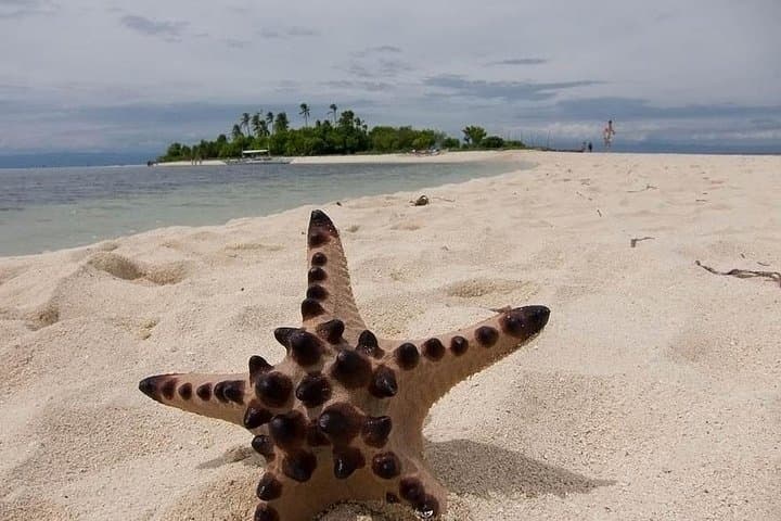 Bohol Country Side Tour: Chocolate Hills, Tarsiers & Loboc River (2D/1N) photo 3