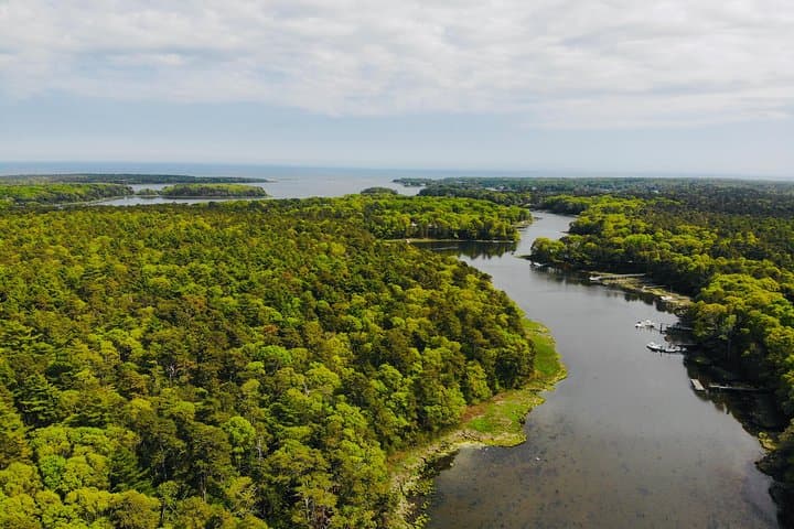 Cape Cod Explorer Kayak Tour in Popponesset Bay photo 5