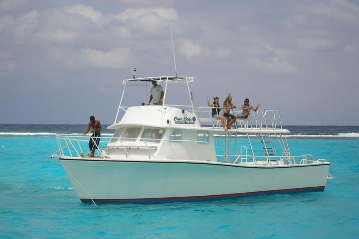 Stingray City, Coral Gardens & Starfish Beach: Snorkel the Best of Grand Cayman in 3.5 Hours photo 3