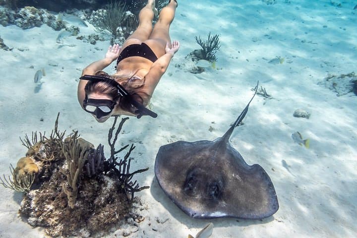 Stingray City, Coral Gardens & Starfish Beach: Snorkel the Best of Grand Cayman in 3.5 Hours photo 5