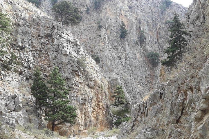 Explore Imbros Gorge Hike and Frangokastello Beach: A Balanced Crete Adventure photo 6