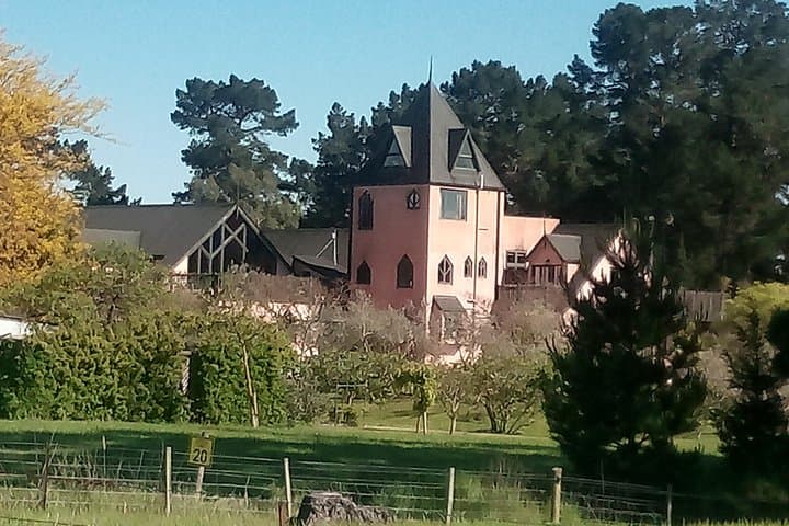 Waipara Wine Experience: Tastings & Winery Lunch from Christchurch photo 3