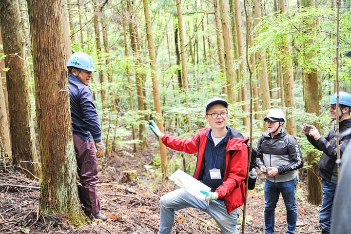 Rural Forestry Tour in Aso Minamioguni — Cedar Culture & Lumberjack Experience photo 3