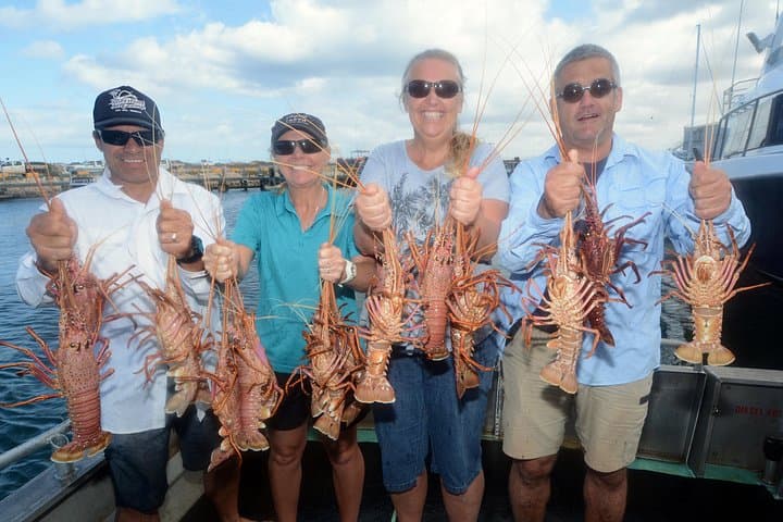 Geraldton Lobster Pot Pull: Hands-On Western Rock Lobster Pot Fishing Tour photo 4