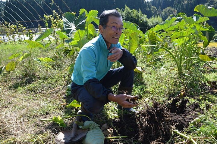 Aso Cycling and Farming: Private Day Tour from Senomoto Kogen photo 4