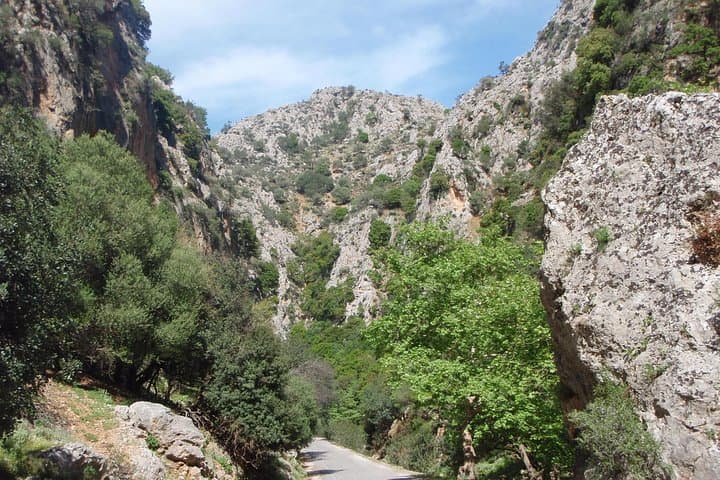 Therisso Gorge & White Mountains: Private Nature Tour with Farm Lunch (Chania)