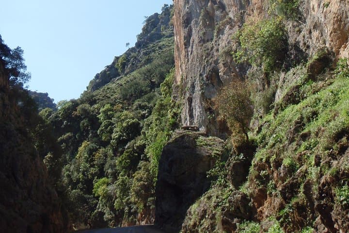 Therisso Gorge & White Mountains: Private Nature Tour with Farm Lunch (Chania) photo 3