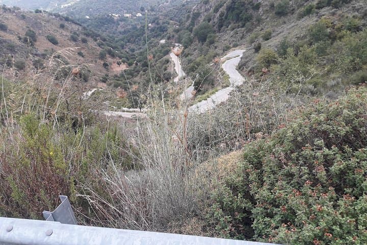 Therisso Gorge & White Mountains: Private Nature Tour with Farm Lunch (Chania) photo 6