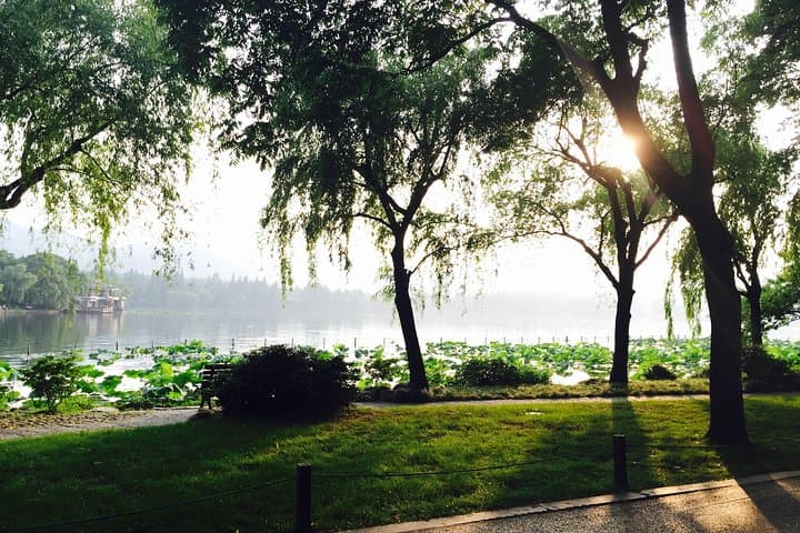 Hangzhou Day Trip from Shanghai: West Lake, Lingyin Temple & Tea Village photo 5
