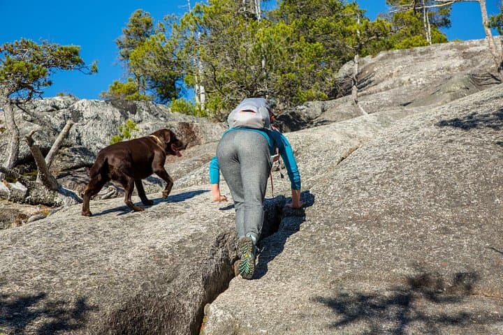 Stawamus Chief Hike and Squamish Brewery Tasting: Day Trip from Vancouver photo 4