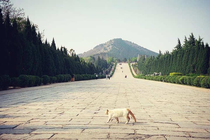 Private Day Tour to Qianling Mausoleum and Famen Temple — Tang Dynasty Tombs from Xi'an photo 5