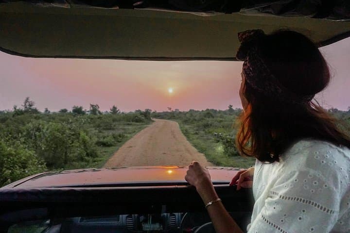Half-Day Udawalawe Safari from Ella — Elephant Encounters & Birding photo 5