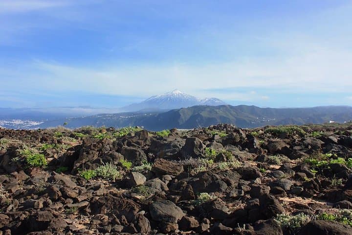Private Teide National Park Shore Excursion with Cable Car — 8-Hour Guided Tour photo 4
