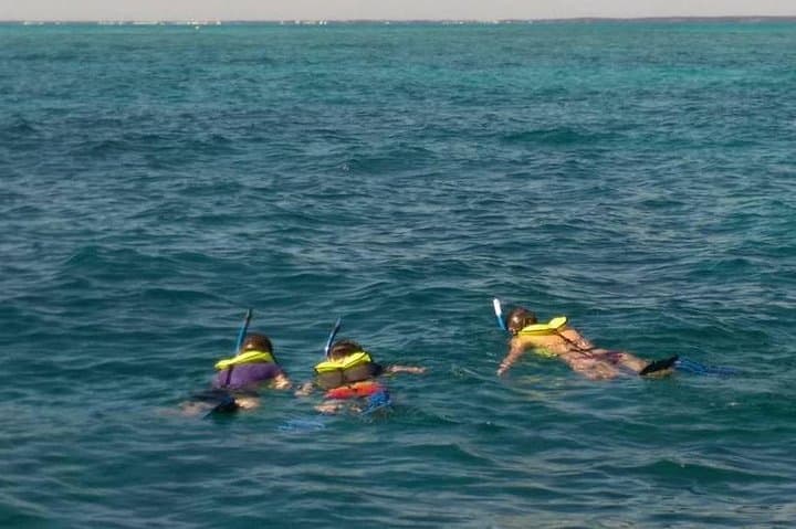 Private Snorkel Tour to John Pennekamp Coral Reef State Park — Key Largo photo 3