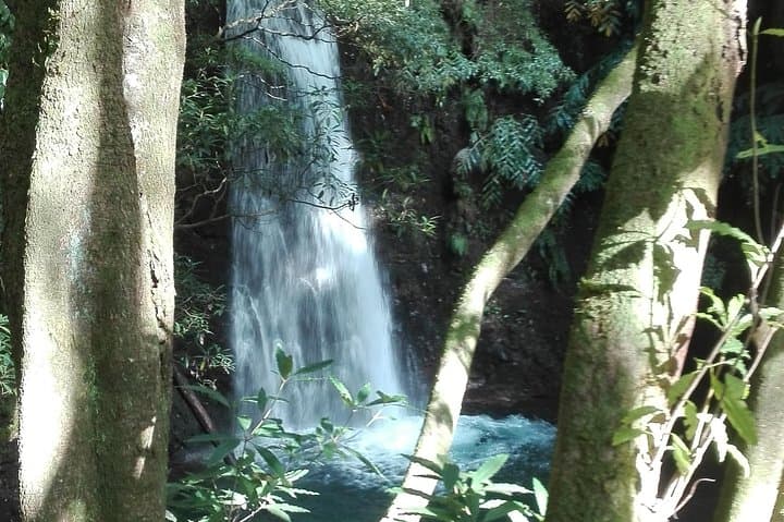 Great Waterfalls Hiking Tour — Nordeste & Povoação, São Miguel photo 3