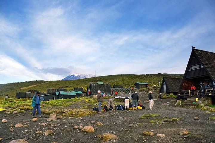 6-Day Marangu Route Trek to Uhuru Peak — Guided Kilimanjaro Summit photo 6