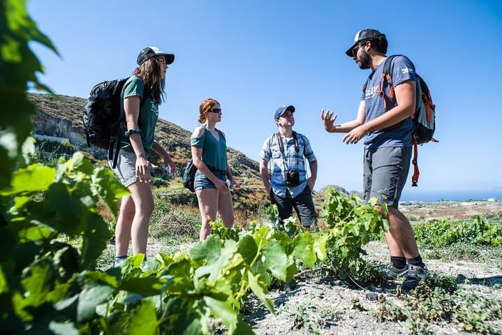 Santorini Cooking Class & Easy Hike — Mesa Pigadia Culinary Trail photo 5