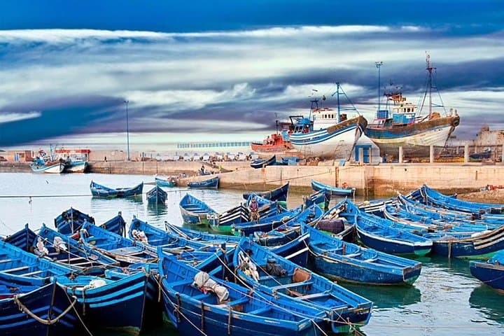 Essaouira Day Trip from Marrakech: Coastal Forts, Argan Goats & Fresh Seafood photo 1