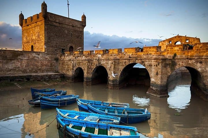 Essaouira Day Trip from Marrakech: Coastal Forts, Argan Goats & Fresh Seafood photo 2