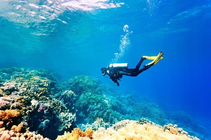Tanjung Benoa Watersport Package: Jet Ski, Parasailing & Snorkeling in Bali photo 6