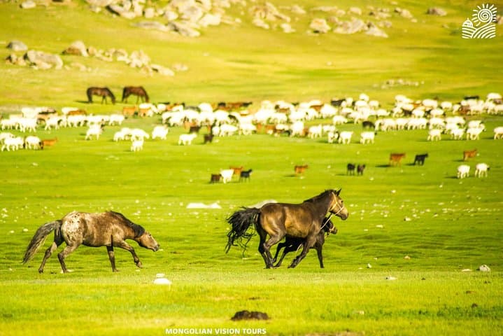 15-Day Western Oasis Mongolia: Lakes, Volcanoes & Nomadic Life photo 5