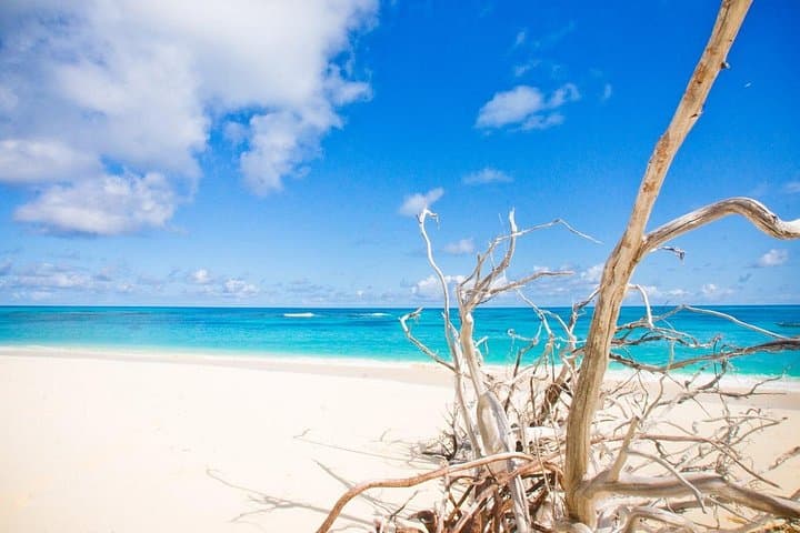 Red Sea Full-Day Snorkeling to Giftun & Magawish Islands photo 2