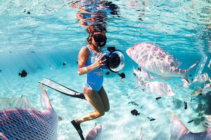 Red Sea Full-Day Snorkeling to Giftun & Magawish Islands photo 4