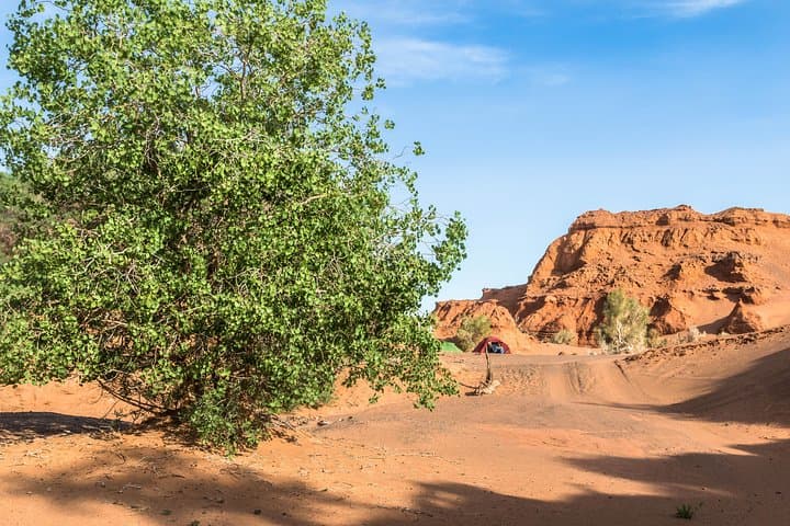 16-Day Mongolia: Desert to Steppe Overland Adventure photo 6