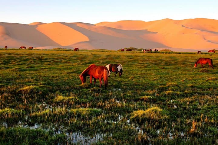 15-Day Gobi Expedition: Flaming Cliffs, Khongor Dunes & Terelj National Park photo 3