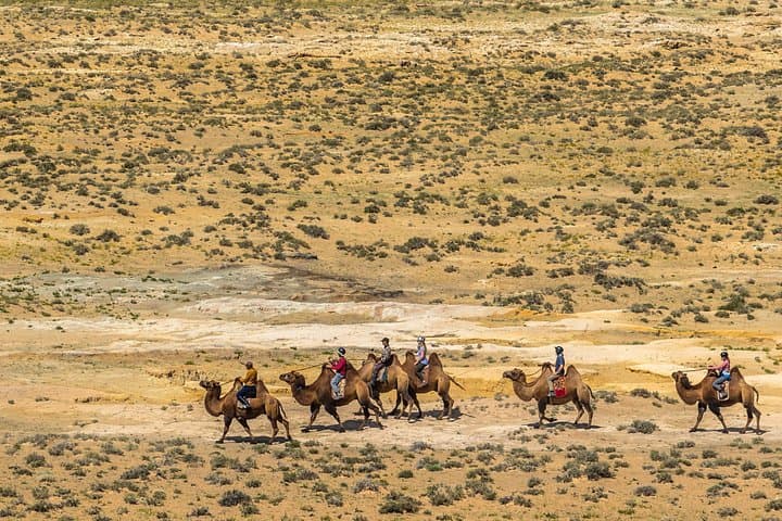 15-Day Gobi Expedition: Flaming Cliffs, Khongor Dunes & Terelj National Park photo 2