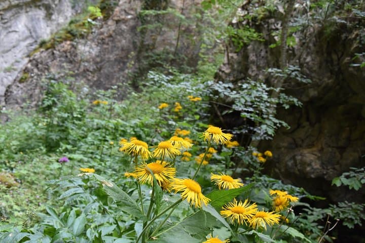 Day Trip to Mavrovo, Duf Waterfall & Bigorski Monastery from Skopje photo 4