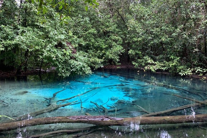 Krabi Jungle Day Tour: Hot Spring, Emerald Pool & Tiger Cave Temple Guide photo 3