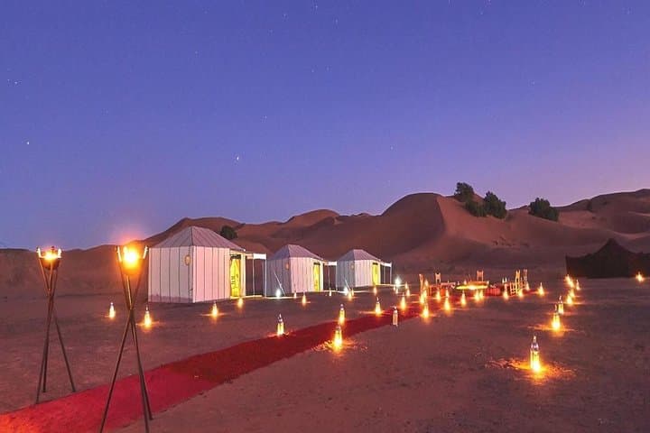 Marrakech Palmeraie Camel Ride: Hour-Long Trek Through the Palm Groves photo 2
