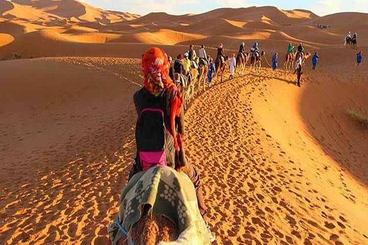 Two-Day Zagora Desert Trip from Marrakech: Camel Ride & Berber Camp Experience