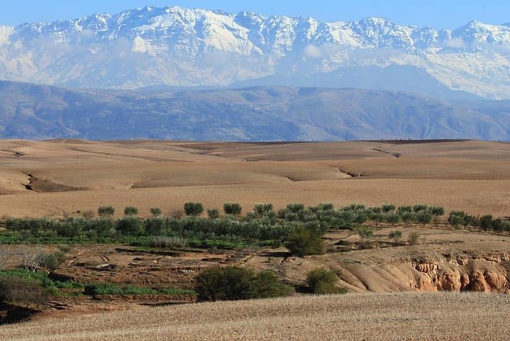 Sunset Camels & Starry Tagine: Agafay Desert Dinner from Marrakech photo 2