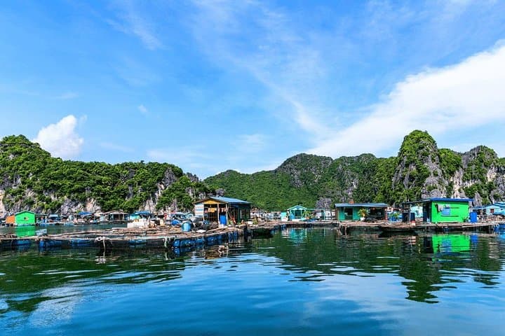 Lan Ha & Ha Long Bay Day Cruise from Cat Ba: Kayaking, Caves and Floating Villages photo 4