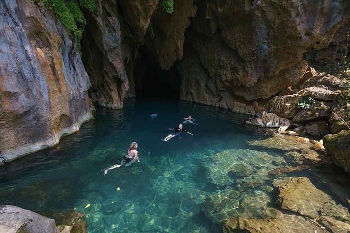 Abandoned Valley, Golden Cave & E-Cave: 1-Day Phong Nha Jungle Trek