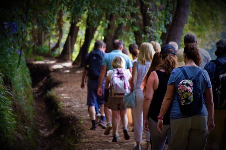 Paradise Valley Walk: Funchal Belvederes, Gardens & Laurel-Forest Trails