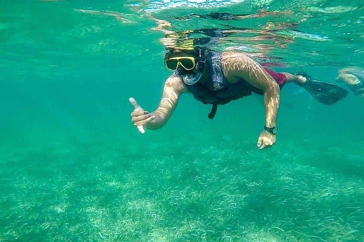 Snorkel Cancun’s Underwater Museum and Turtle Coves — 3-Stop Reef Tour