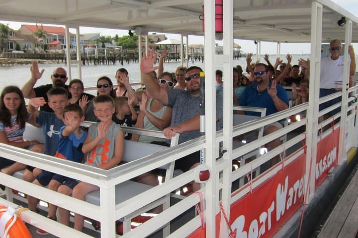 St. Augustine Dolphin Odyssey: 2-Hour Vilano Beach Sightseeing Cruise photo 4