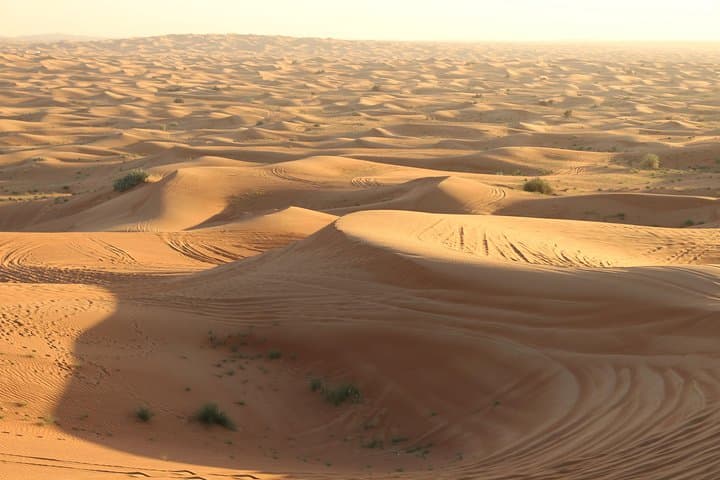 Red Dunes Morning Safari: Sandboarding and Optional Quad Biking near Dubai photo 1