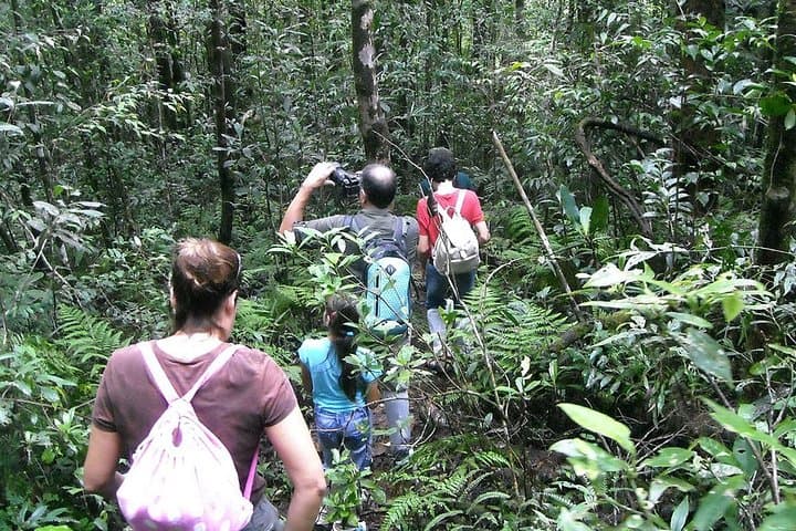 Trek the Knuckles Range: A Day Hike Through Sri Lanka's Highland Wilds photo 3
