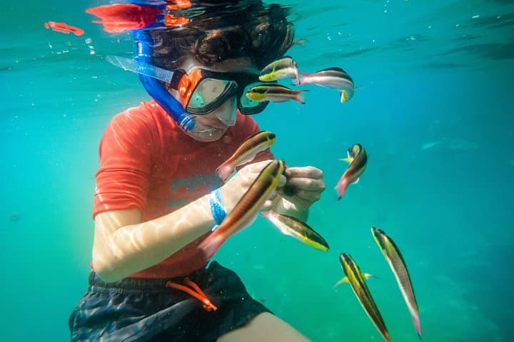 Huatulco Shore Snorkel: Premium Family Snorkeling in Santa Cruz Bay photo 2