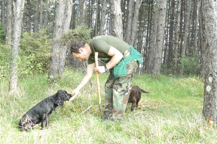 Tuscany Truffle Hunting & Cooking Holiday: 4 Days in Valtiberina photo 3